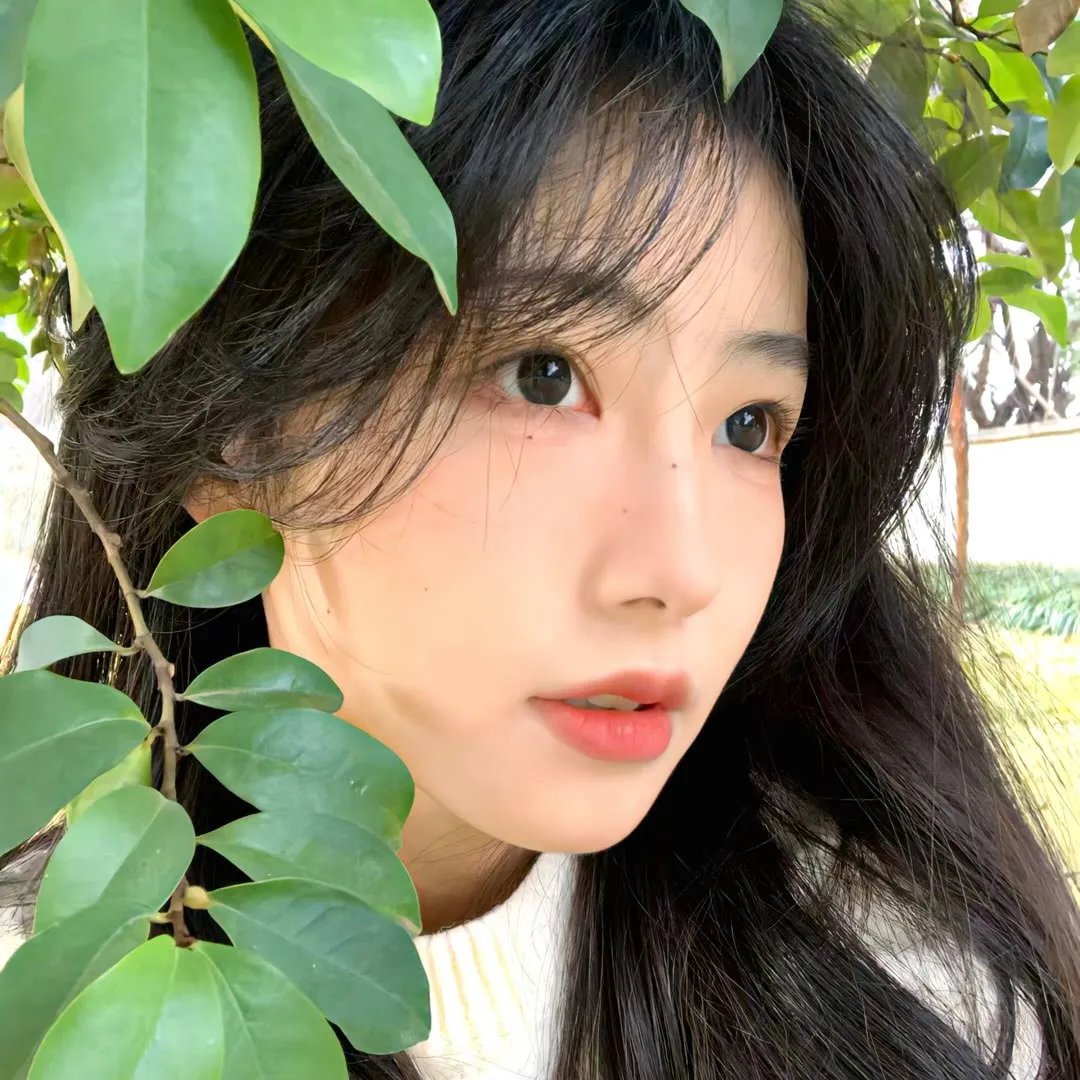 泰姬陵